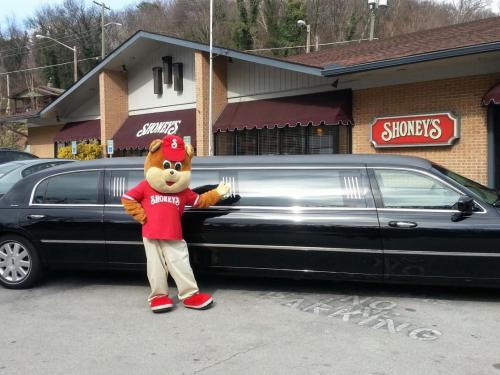 Shoney's Bear and JACO Limousine